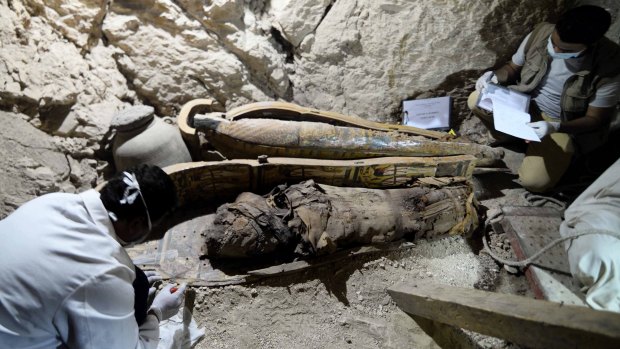 Egyptian archaeologists document the contents of the recently discovered tomb in Luxor.
