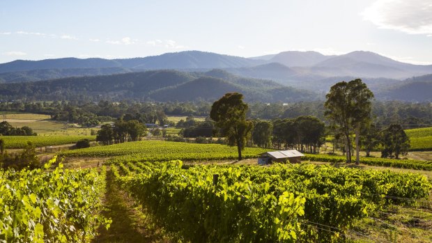 King Valley's wineries sit along what has become known as Prosecco Road.