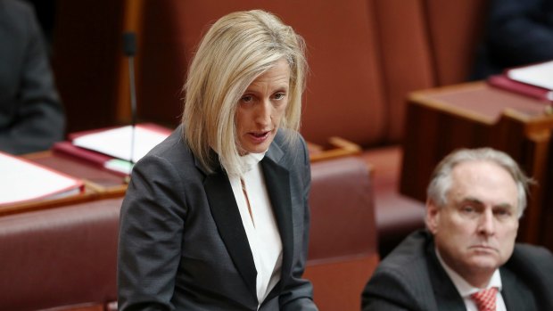 Senator Katy Gallagher will face the High Court.