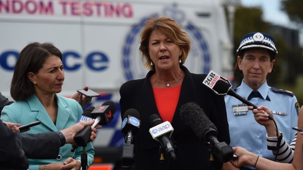 NSW Roads Minister Melinda Pavey yesterday said she was  concerned about the number of crashes involving heavy vehicles.