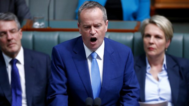 Opposition leader Bill Shorten told Parliament House on Thursday that Labor would stand with LGBTI people.