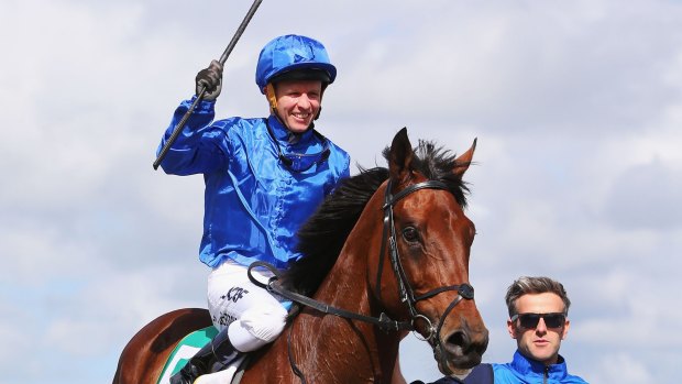 Distance master: Kerrin McEvoy will look for a third Sydney Cup on Penglai Pavilion at Randwick on Saturday.