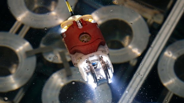 The newly developed robot for underwater investigation at Fukushima's damaged reactor is seen at a test facility in Yokosuka, Japan.