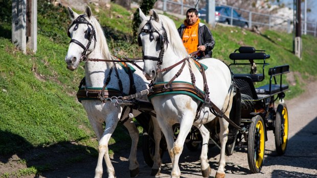 With no tourists, Vienna's famous horse-drawn carriages are now delivering 250-300 meals a day to those in lockdown.