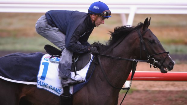 Centre of attention: Melbourne Cup favourite Fame Game is expected to be ridden for luck at Flemington.