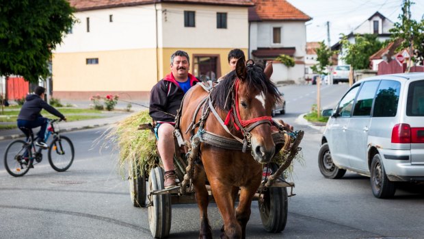 A father and son ride a horse and cart in the small rural village of Rasnov, Romania. 