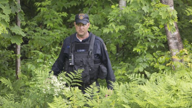 A corrections officer emerges from the woods after searching with a team near the Clinton Correctional Facility.