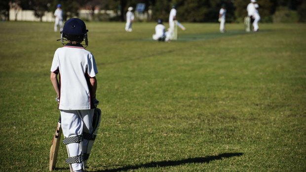 The Leichhardt Wanderers take on the Lower North Shore All Stars in the under-10s winter cricket semi-final.