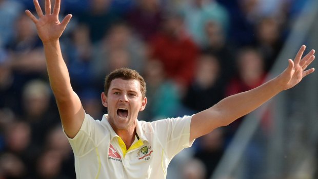 Australia's Josh Hazlewood appeals for a wicket on day one of the first Ashes Test against England in Cardiff.