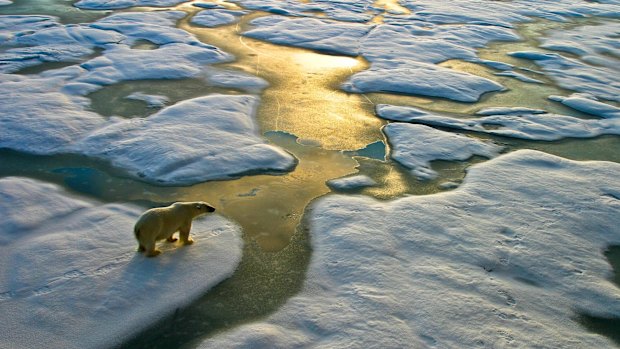 In 2016 overall, warm Arctic temperatures led to the second lowest level of Arctic sea ice ever recorded at the summer minimum. 