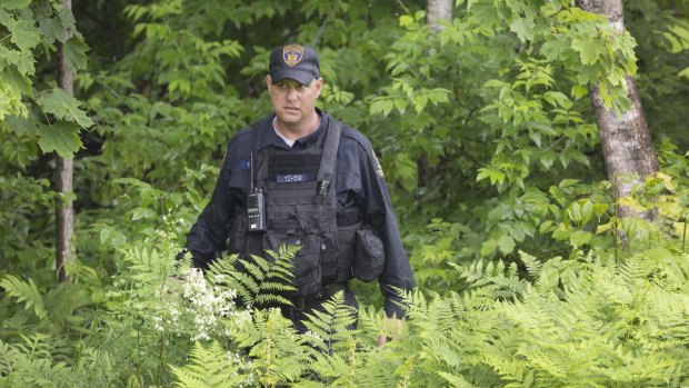 A corrections officer emerges from the woods after searching with a team near the Clinton Correctional Facility.