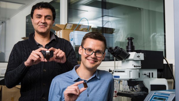 Dr Kourosh Kalantar-Zadeh and Dr Torben Daeneke at RMIT with their solar paint.