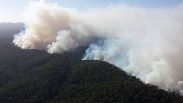 The Otway blaze: over 100 homes have been lost in Victoria’s worst bushfire since Black Saturday in 2009.