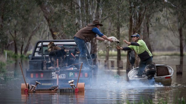 Locals deal with the floods near Oxley.