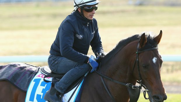 Import Protectionist perhaps best fits the winning criteria for Tuesday's Melbourne Cup.