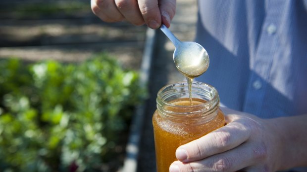 Still a good drop: academics and the food regulator say Australian honey is safe.