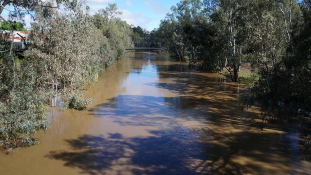 The Ovens River in Wangaratta on Sunday morning.