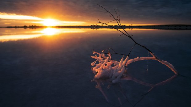 Around the lake's edges, the briny crust betrays a rosy tinge that's triggered by mixing spring rains with high salinity levels and algae. 