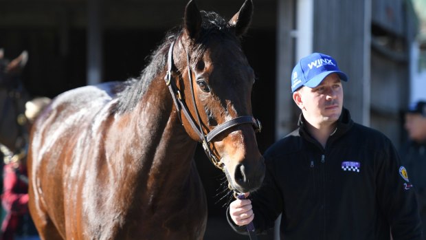 Champion mare Winx will face a small band of rivals in the Warwick Stakes.