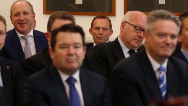 Face in the crowd: Tony Abbott in the party room at Parliament House in November.
