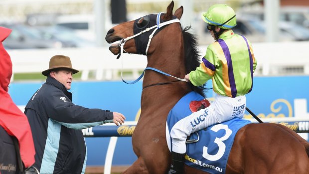 Silent treatment: Peter Moody at Caulfield.