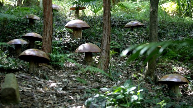 For centuries and the world over, mushrooms containing psilocybin have been ingested during religious rituals. 