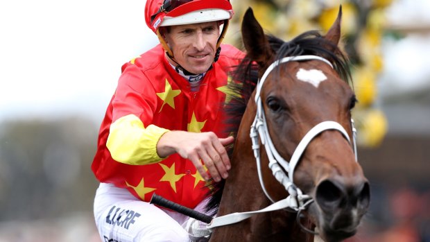 Keeping the faith: Trainer Chris Waller is backing Press Statement despite him having his colours lowered at Randwick.