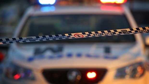 Two teens have been arrested after allegedly driving a stolen Mercedes through Melbourne's north.