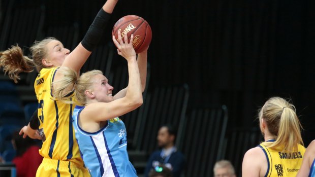 Canberra Capitals guard Hanna Zavecz has retired after yet another injury.