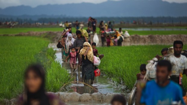 Thousands of Rohingya Muslims are pouring into Bangladesh, part of an exodus of the beleaguered ethnic group from neighbouring Myanmar.