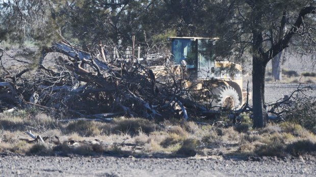 Removing trees on a property near the Newell Highway in the state's far north in August.