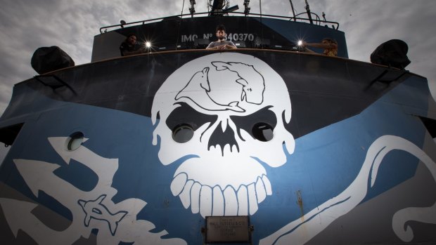 Sea Shepherd dispatched its ship Steve Irwin to patrol the Southern Ocean over summer but was unable to locate the Japanese whaling fleet.