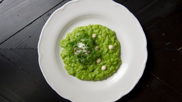 The luminously green pea risotto dotted with goat cheese and chervil.