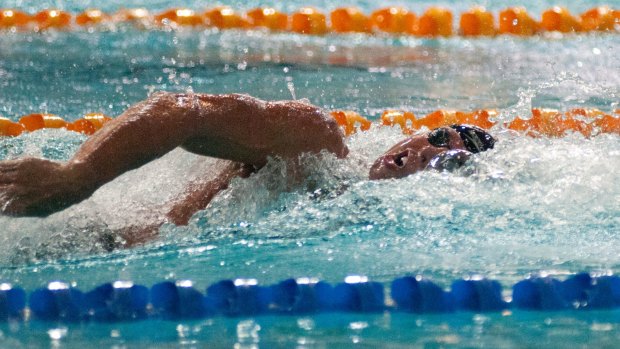 Back in the swim: Australian Olympian Grant Hackett in action in Brisbane.