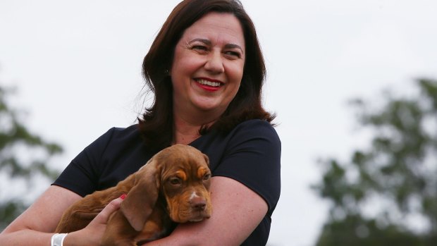 Premier Annastacia Palaszczuk has announced a $2000-a-year payment to foster carers.