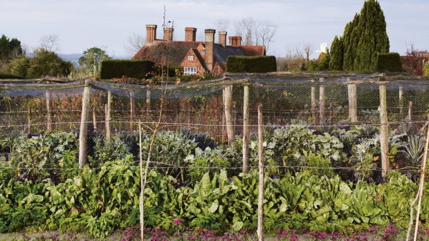The fertile vegetable patch, with the house at Great Dixter in the distance.