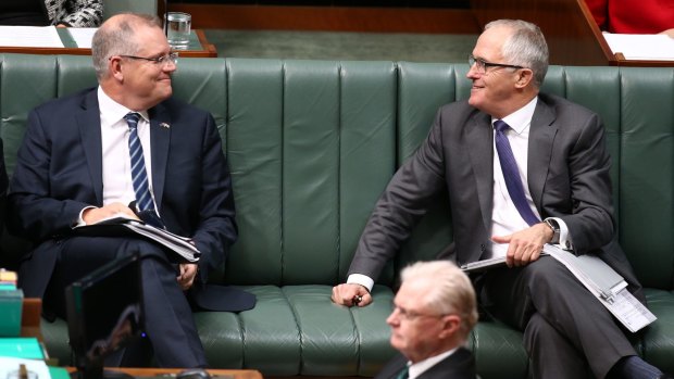 Malcolm Turnbull has taken a punt on Scott Morrison.