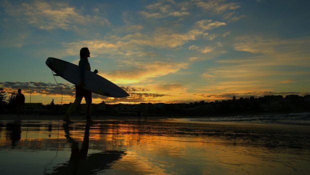 A surfer walks towards the surf at Bondi Beach.