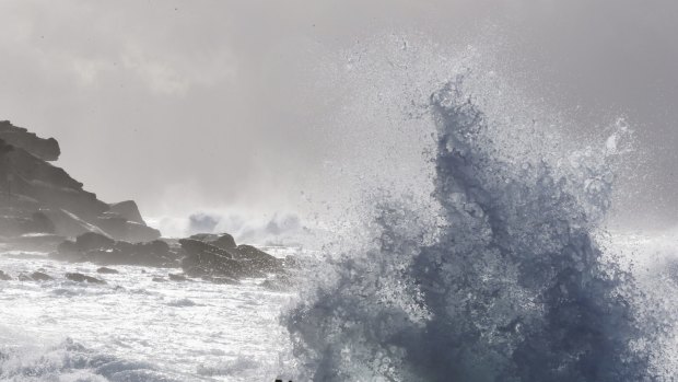 Wintry conditions and big seas return to Sydney on Wednesday as the weather turns wild and cold. 