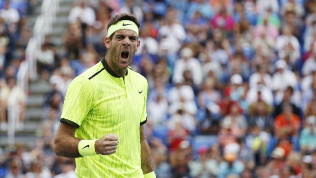 Juan Martin del Potro celebrates after beating David Ferrer.