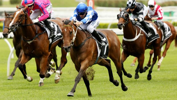 Slipper hope: Thomas Huet rides Jeanneau to a strong win at Randwick on Saturday.