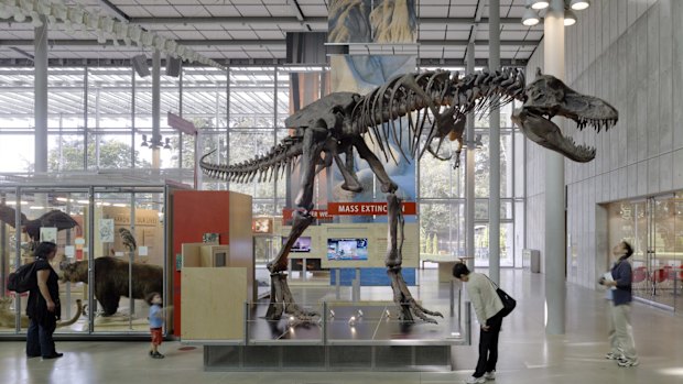 The California Academy of Sciences.