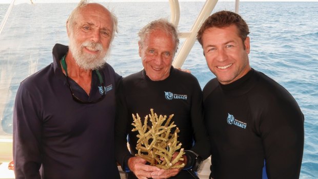 Sea mission: (from left) John Rumney, Managing Director of GBR Legacy, Dr Charlie Veron with new coral species, and Dr Dean Miller, Director of Science and Media GBR Legacy.