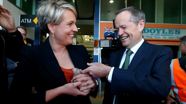 Tanya Plibersek with Labor leader Bill Shorten - and the rat left at their feet while campaigning.