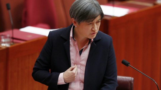 Openly gay Labor frontbencher Penny Wong attacks the plebiscite plan in the Senate.
