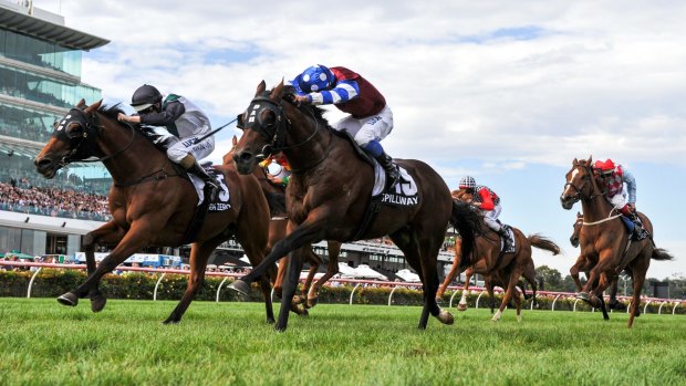 Enthusiasm: Extra Zero (left) edged out by stablemate Spillway in the Australian Cup.