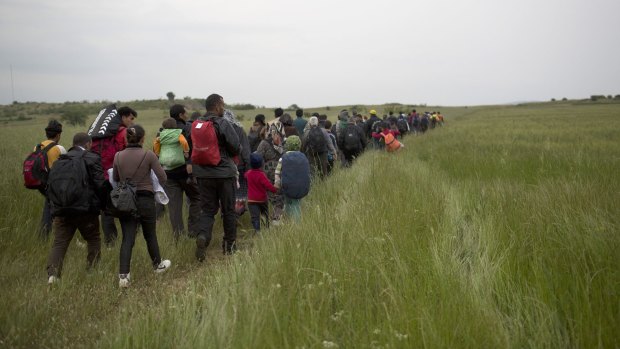 Migrants and refugees who were camped in Idomeni walk through fields in their attempt to cross the Greek-Macedonian border this week. 