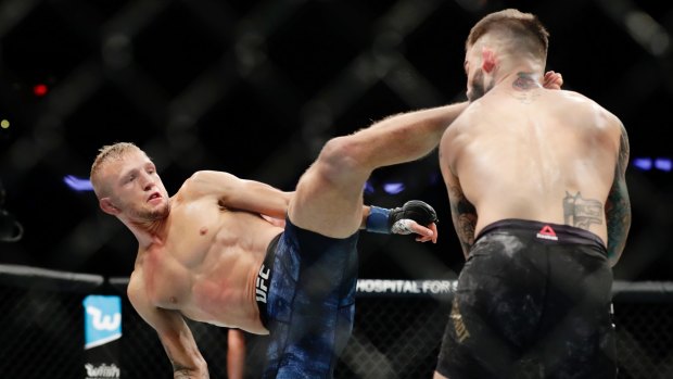 No love lost: T.J Dillashaw defeated bitter rival Cody Garbrandt to win the title.