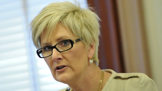 Education department secretary Gill Callister appeared before the youth justice hearing.
