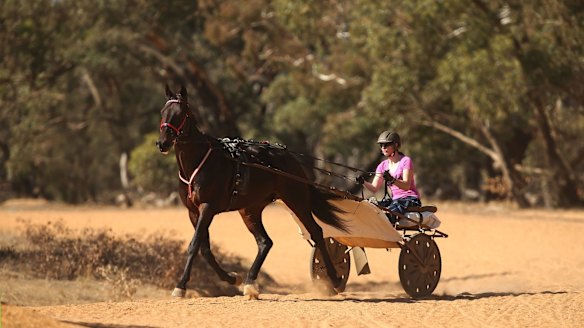 The world's No. 1 female harness racing driver is an Australian you've ...